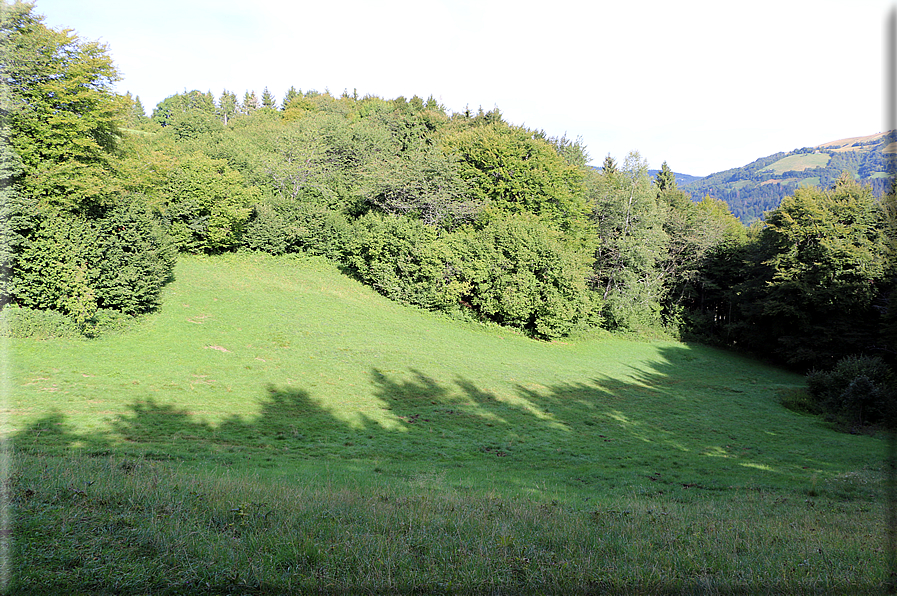 foto Gallerie del Col Campeggia